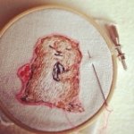 11255470_1483020311997429_8088169_a