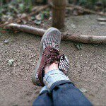 11250112_708099869335561_1609372762_a