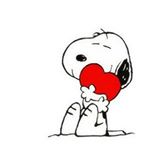 11386543_1679531592266079_246541994_a