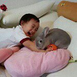 10735306_1525310441048615_169451524_a