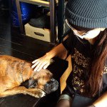 1889120_277797949081693_186719953_a