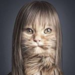 11950660_1643344465945797_1090808748_a