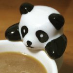 11193125_1604454146466142_587619915_a