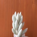 11410337_879115188826247_1109741049_a