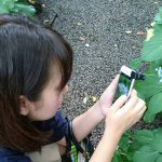 11357879_457486884417921_1729775361_a