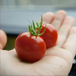 11417265_1438281173166394_1037708576_a