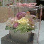 11084647_1578331645768454_684476851_a