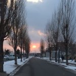 11850407_1030550850318969_500050045_a