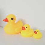 11899668_876888645730784_794759335_a