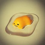 11372211_560261070779917_63064759_a