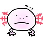 11334577_405873012941477_1208809507_a