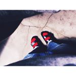 1389366_543521122481204_945112025_a