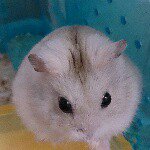 11333510_843911152360263_669725743_a