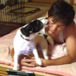 11820709_579475358859335_141566234_a