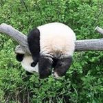 11850140_116583412027267_1565133354_a