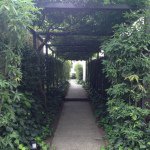 10691692_652339568216190_2037007337_a