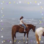 11349231_382281715294896_1693701089_a