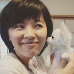 11253707_813457318775525_753018340_a