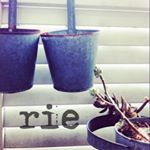 11809557_978610175532646_1602052611_a