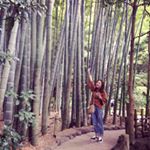 11176038_504562349717831_749952257_a