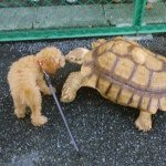 11352009_871517469585069_821324764_a