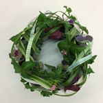 11375172_737180869738018_1864254909_a