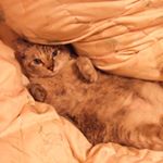 11201557_851263141648307_604023984_a