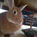 11378197_718327641612849_1921760424_a