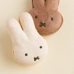 11270972_405558766295875_1763564000_a