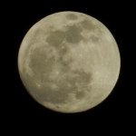 10483415_836423483034673_2086872294_a