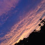 1516622_558771994261310_477378222_a