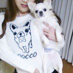 11276272_493226820834279_2057007661_a