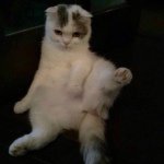 10684033_469514003189415_446971324_a