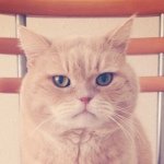 925955_706679422713610_1880421410_a