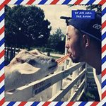 923610_1443954662519077_1899087700_a