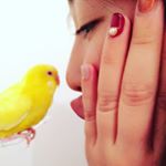 12063158_943572832347120_1104143571_a