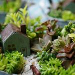 11917776_909377865801550_695596096_a