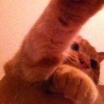 11881679_705954906203320_1943433089_a