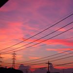 11821208_541256599372403_1279254208_a