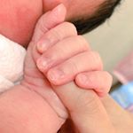 11348363_1614836008782358_1306771424_a