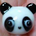 10958407_582392931899811_1015257531_a