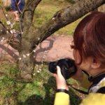 11325295_1579799642288378_1806578281_a