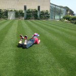 11191419_825360657560547_1652866438_a