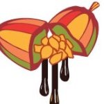 11333318_1619942238253320_13986649_a