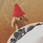 11910220_139965939687148_1462920330_a