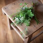 11881918_547380158744845_416628467_a