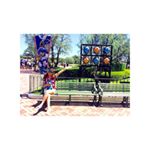 11330783_468548939988688_480423193_a