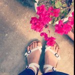 11377494_956775304378013_334026663_a