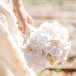 11202481_905942012809209_1649420662_a