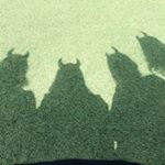 11925739_1722800114610499_140747089_a